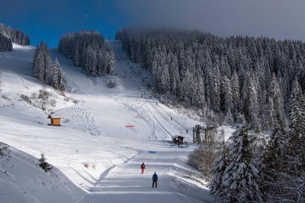 Le Relai S34 - Grand et lumineux studio avec coin montagne 4-6 pers, 50m des pistes, grand balcon exposé SUD, DRAPS NON COMPRIS Saint-Jean-dʼAulps Extérieur photo